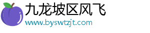 九龙坡区风飞